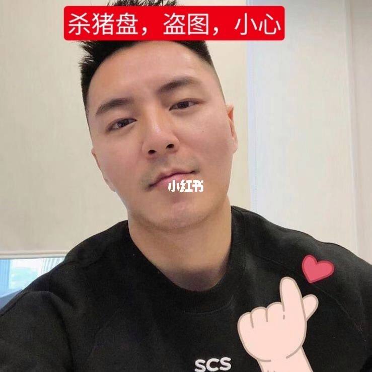 关于比特币新加坡杀猪盘的信息