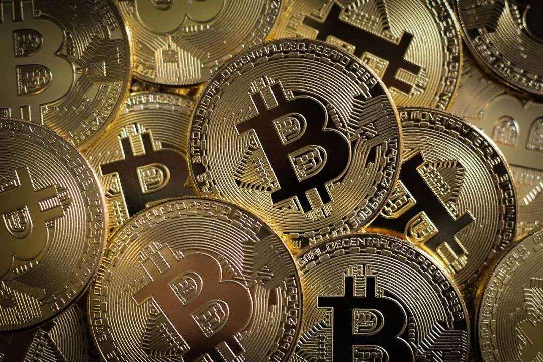 比特币田甲身价 比特币田甲身价多少钱
