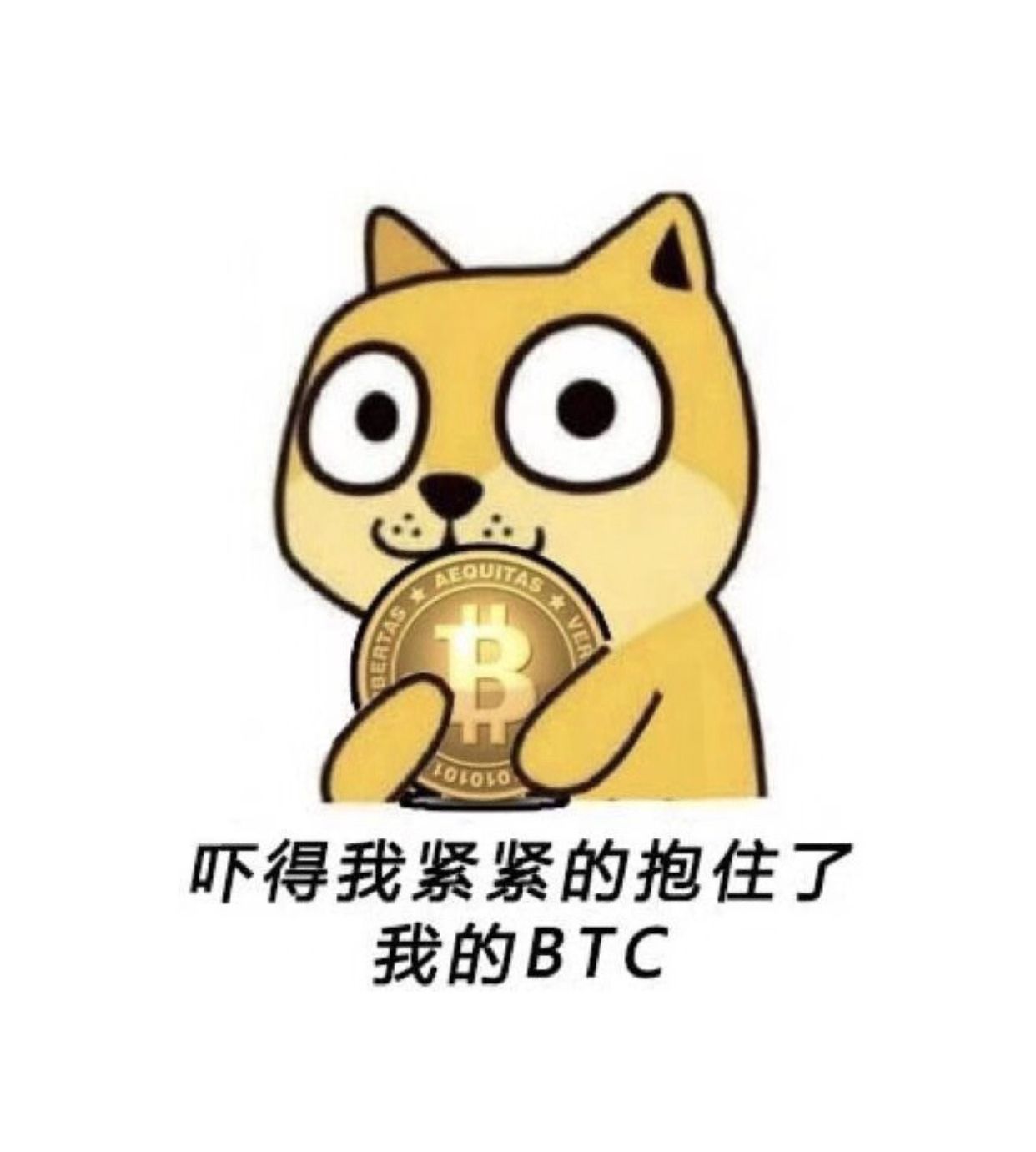 比特币金融头像男的简单介绍