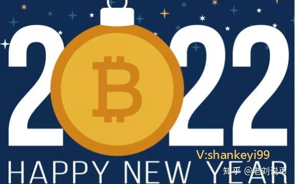 比特币最强大国 拥有最多比特币的国家