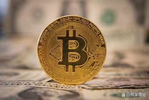 知道嫌犯比特币地址 知道嫌犯比特币地址怎么办