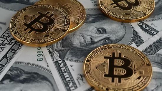 比特币蜘蛛网 比特币挖掘网站
