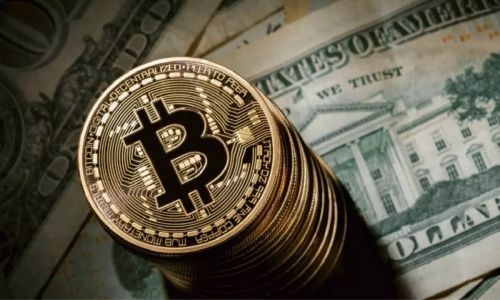 不同平台交易比特币 不同平台交易比特币的区别