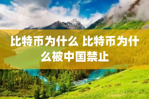 为啥中国禁止比特币 中国会不会禁止比特币