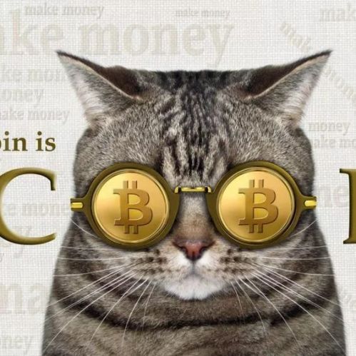比特币害我家破 比特币让我倾家荡产