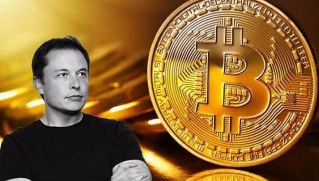 比特币害我家破 比特币让我倾家荡产