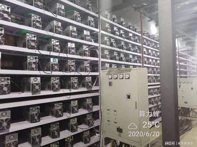 比特币的流水视频 比特币的流水视频在哪里看