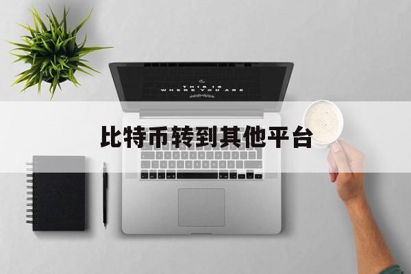 比特币转到其他平台 比特币转到其他平台违法吗